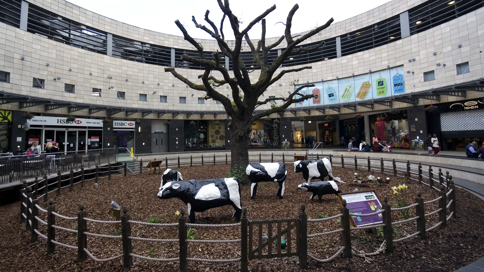 Concrete Cows sculpture in Central Milton Keynes - Luton Airport to Milton Keynes transfer