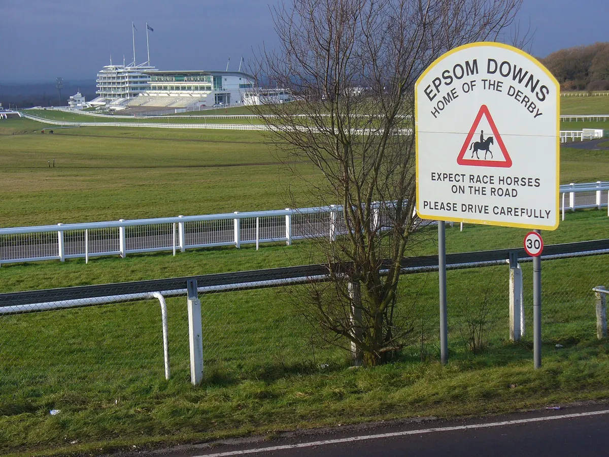 Epsom Downs – event taxi, MPV and chauffeur transfers by Rushxo